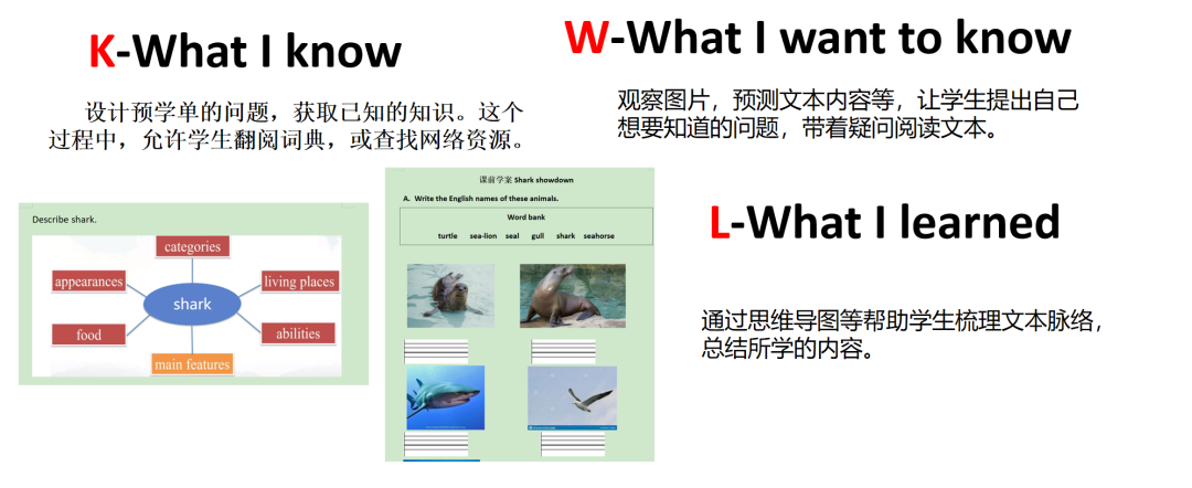 圖片 圖片