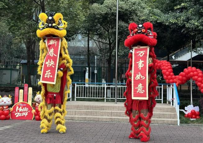 春光為序 · 乘“龍”而行——中國部·小學(xué)新春開學(xué)季