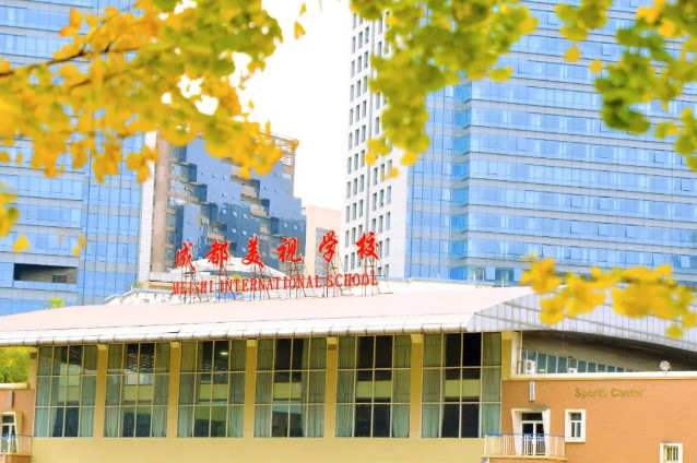 老牌國際化學(xué)校，在卓越的道路上持續(xù)奮進
